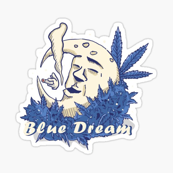 Blue Dream Automática – Perfect Plant