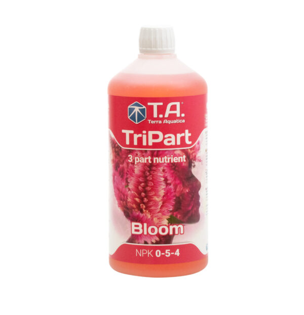 TRIPART BLOOM
