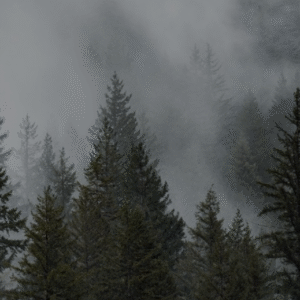 ADESIVOS Colecionaveis Strains 2026 - Automaticas