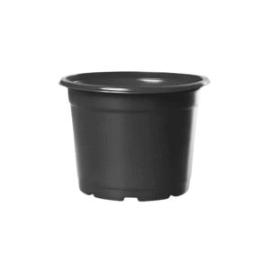 Kit de Vasos Nutriplan NP11 415ml (10, 25, 50 ou 100 Unidades) Grow Cultivo Indoor